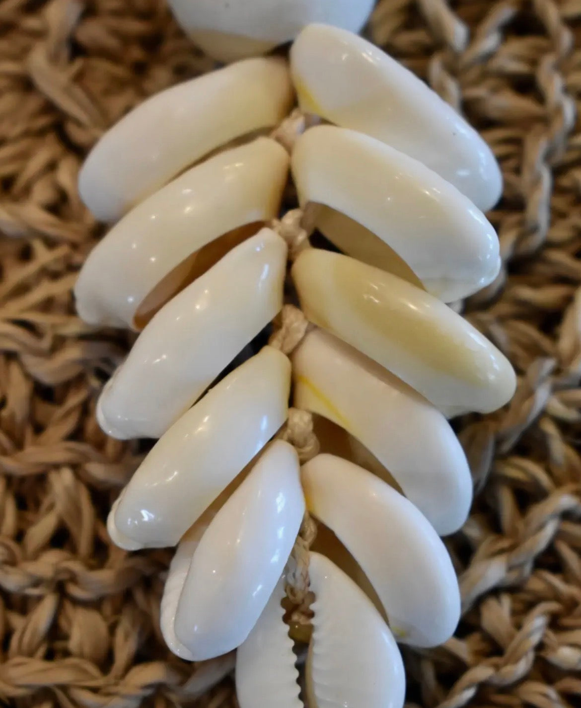 Cowrie Shell Keychain